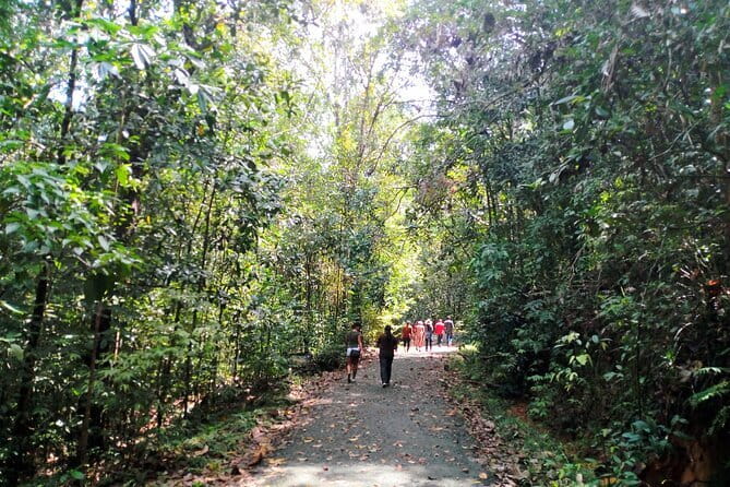 Kanneliya Rain Forest Tour - Kanneliya is the reason to go