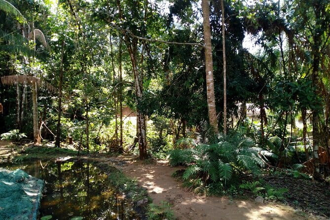 Kanneliya Rain Forest Tour - Small practical details that make the day better