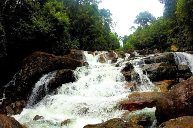 Kanneliya Rain Forest Tour - Meeting the tracker at the forest gate