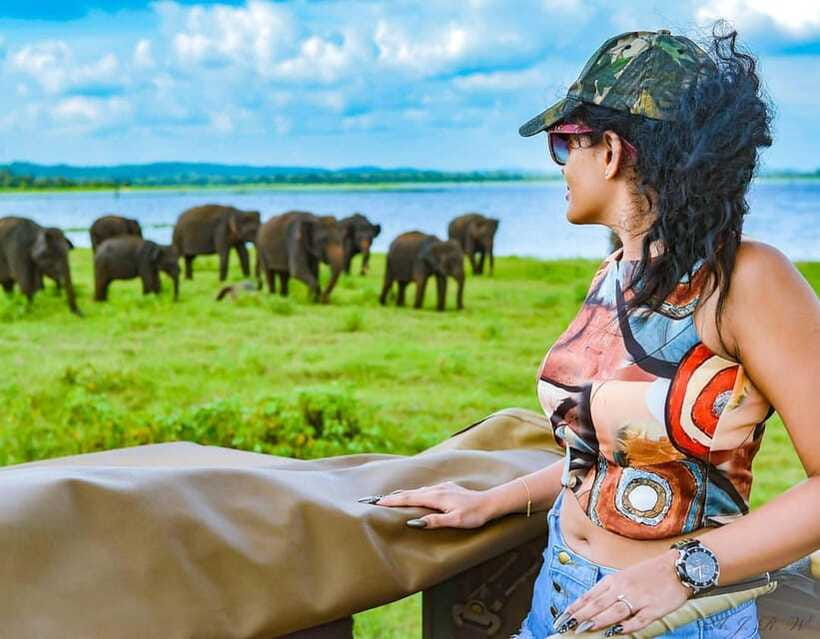 Kaudulla National Park Half-Day Safari with Expert - Is $34 good value?