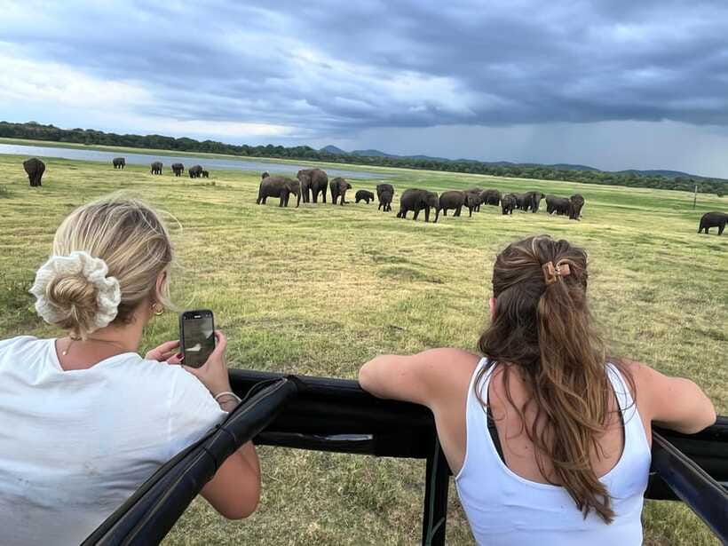 Kaudulla National Park: Private Safari - Booking details that affect your decision