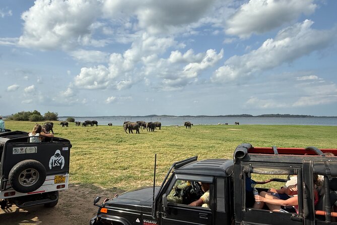Kaudulla National Park Safari [private , full package] - Who will enjoy this private safari?