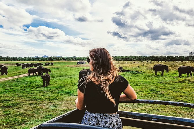 Kaudulla National Park Shared Safari - The three-hour drive through scrub and grassland