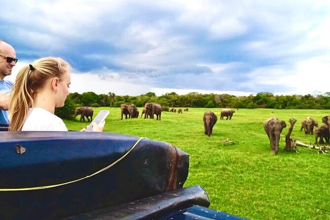Kaudulla Safari Adventure - Key points to know before you go
