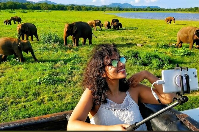 Kaudulla Safari Adventure - The reservoir, open grassland, and sunset light