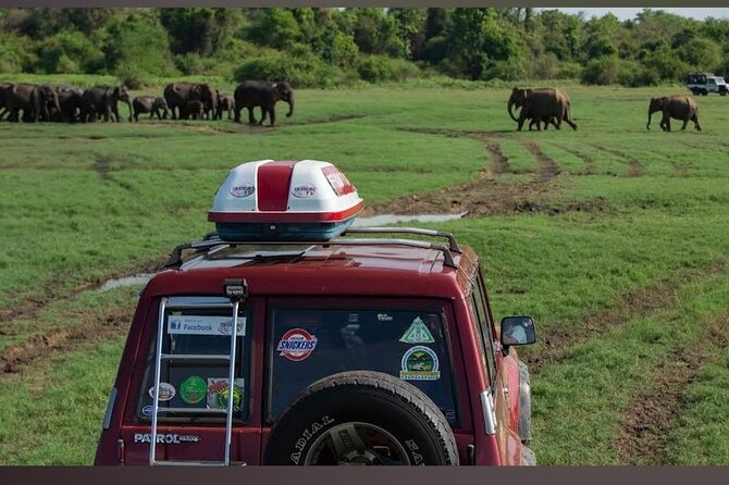 Kaudulla Safari Adventure - The park entrance can slow you down