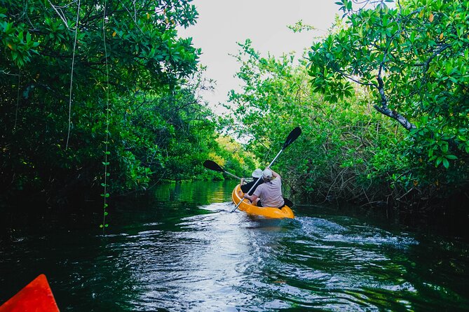 Kayaking Adventure on serene waters through mangroves, Akurala - From limestone pits to quiet mangrove water