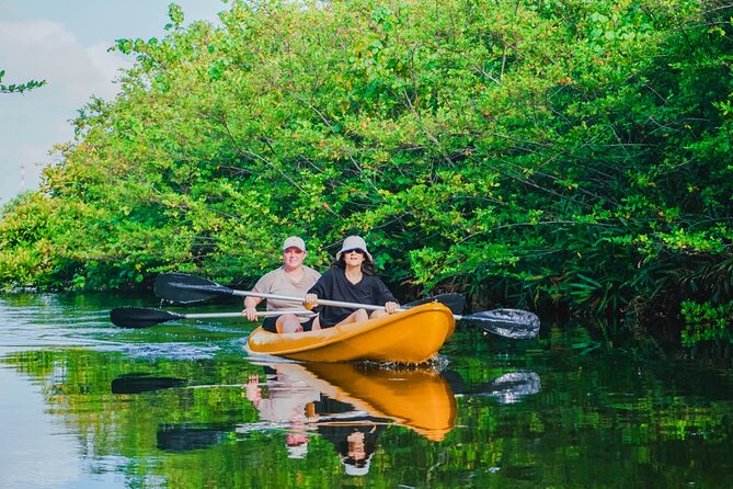 Kayaking Adventure on serene waters through mangroves, Akurala - Wildlife in a working waterway