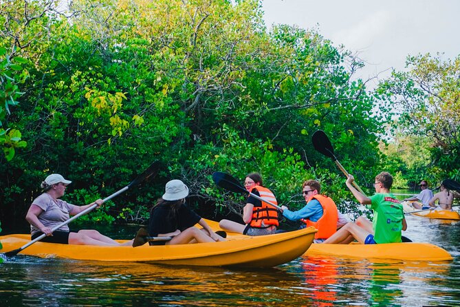 Kayaking Adventure on serene waters through mangroves, Akurala - The train crossing is the big surprise