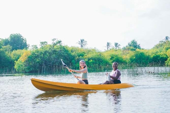 Kayaking Adventure on serene waters through mangroves, Akurala - What two hours really gives you