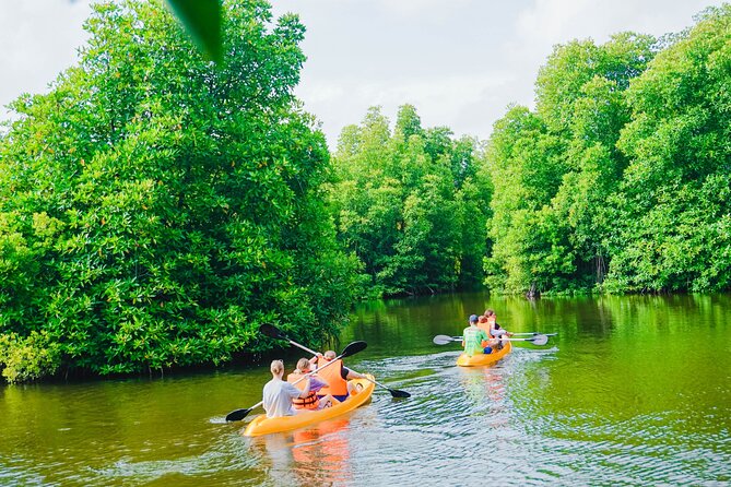 Kayaking Adventure on serene waters through mangroves, Akurala - Useful details before you reserve