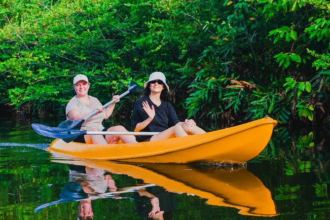 Kayaking Adventure on serene waters through mangroves, Akurala - Paddling through the mangrove channels
