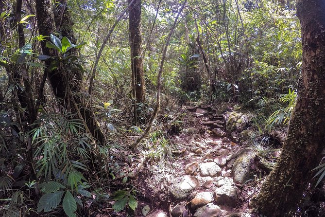 Knuckles Leopard trail Trek from Kandy - Is $100 good value for this private trek?