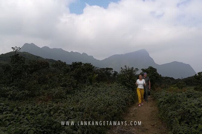 Knuckles Mountain Hiking - Why the Knuckles Range is worth your day