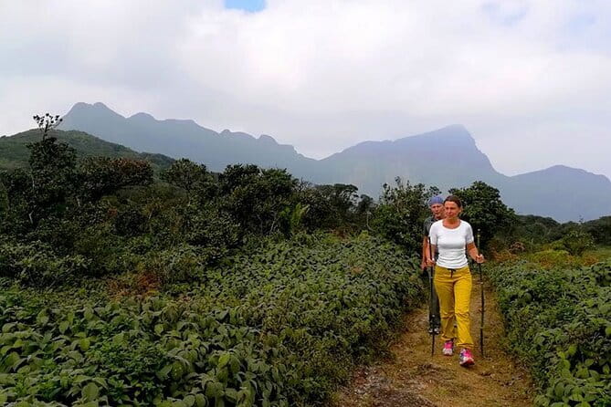 Knuckles Mountain Range Hiking and Trekking Day Tour From Kandy Hotels - Reaching the trailhead at about 6:30 a.m.