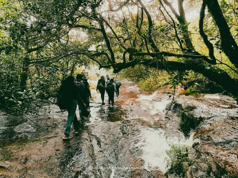 Knuckles Mountain Range: Kotaganga Waterfall Chain Hike - Key points to know