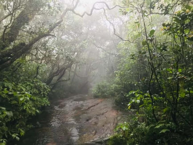 Knuckles Mountain Range: Kotaganga Waterfall Chain Hike - Picnic lunch and what the $80 covers