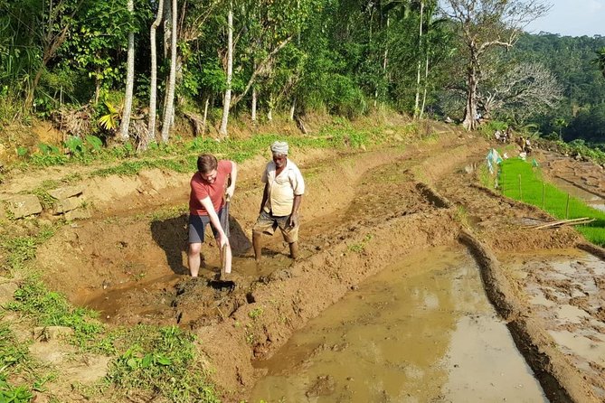 Knuckles Spice Trail Trek from Kandy - Cloud forest air and mountain views