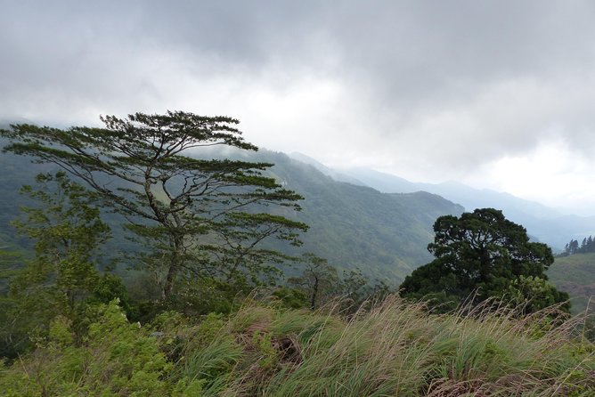 Knuckles Spice Trail Trek from Kandy - Is $85 a fair price?