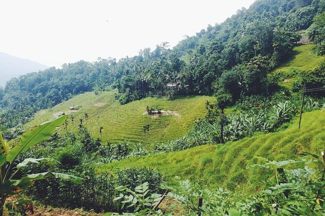 Knuckles Spice Trail Trek from Kandy - Who should book this walk?
