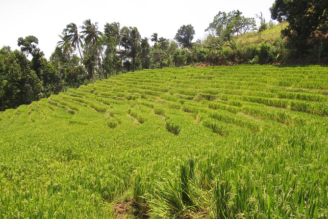 Knuckles Spice Trail Trek from Kandy - What to bring for the 7 to 9 hour day