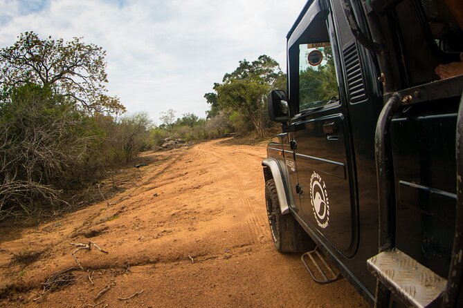 Kumana National Park Half Day Jeep Safari - What You May See Inside the Park
