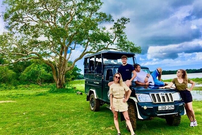 Kumana National Park Half Day Jeep Safari - A Private Jeep Makes a Difference