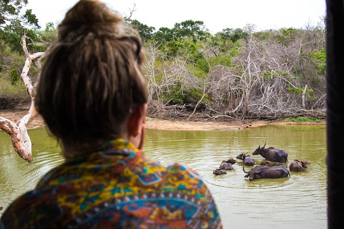 Kumana National Park Half Day Jeep Safari - Who Should Book This Safari?