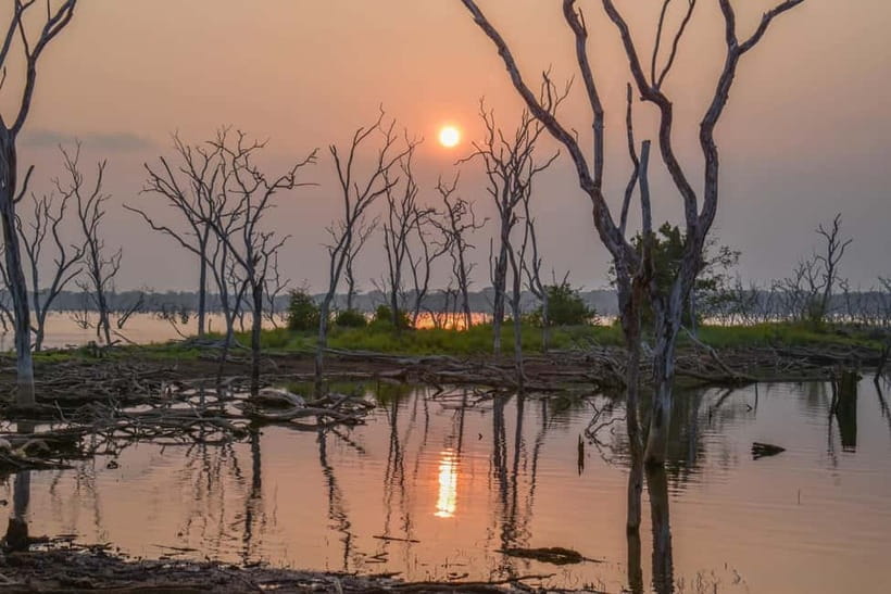 Kumana National Park Leopard Safari PRIVATE Tour - Should you book the Kumana private safari?