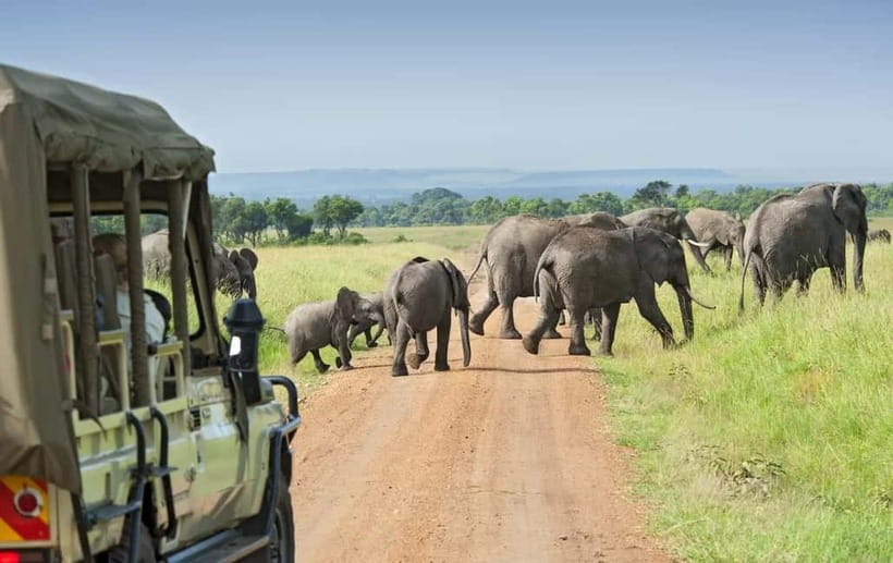 Kumana National Park Leopard Safari PRIVATE Tour - Why Kumana is worth your time