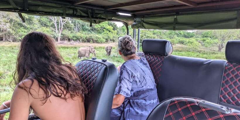 Kumana National Park : Morning or Afternoon Safari (6 h) - Four hours among Kumana’s wetlands