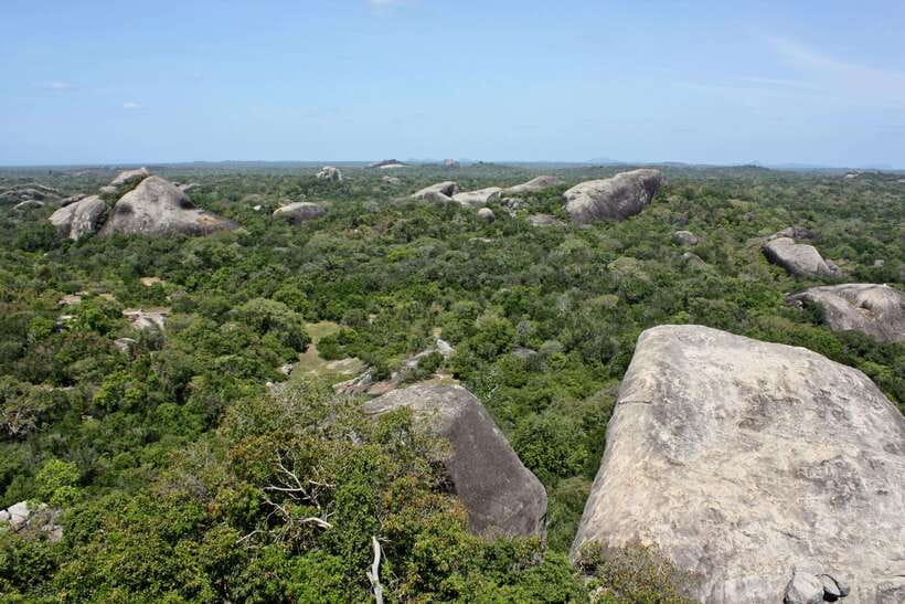Kumana National Park : Morning or Afternoon Safari Tour - Who should book this Kumana safari?