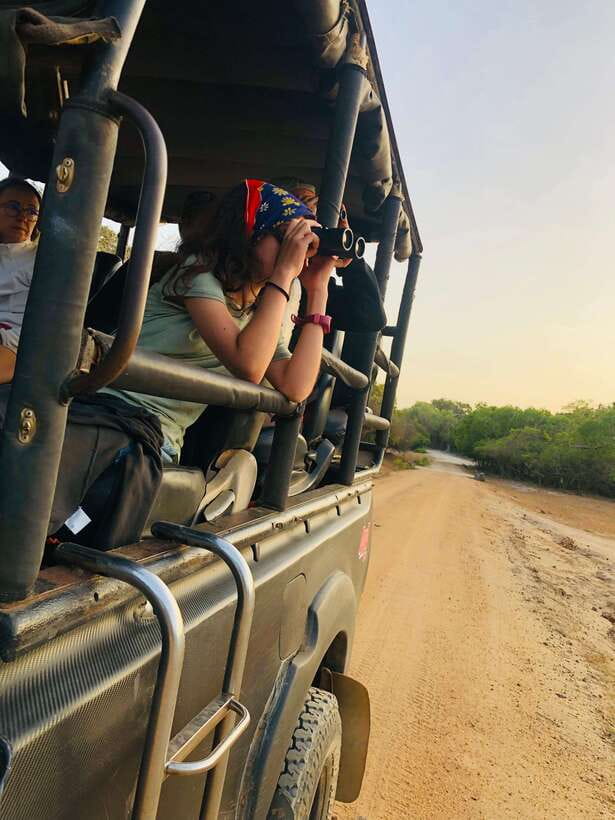 Kumana National Park : Private Half-Day Jeep Safari - What the guides add to the day
