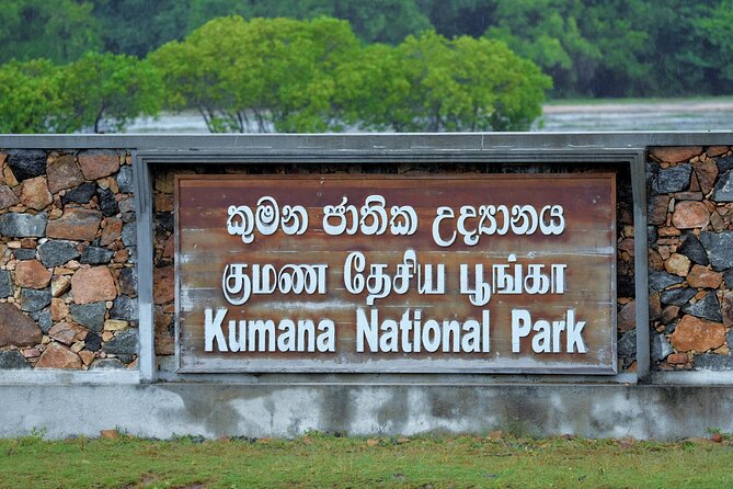 Kumana National Park Safari | from Arugam Bay - The birdlife is the strongest reason to go