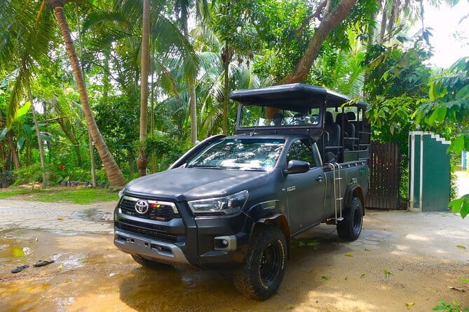 Leopard Half Day Yala National Park Eleven Safari - Who should book Eleven Safari