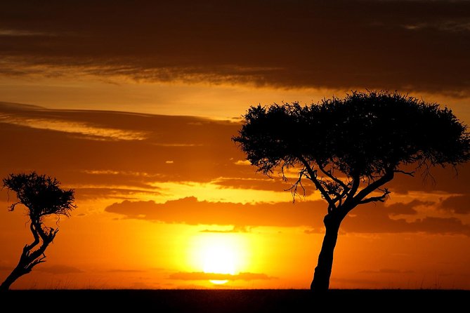 Leopard Safari Tour in Yala National Park - Guides who can make or break the day