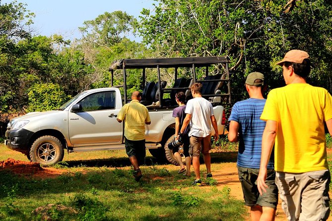 Leopard Safari Tour in Yala National Park - What you are likely to remember