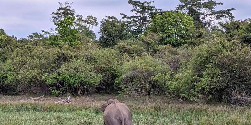 Lunugamvehera National Park Safari ( Yala Block V / VI ) - The route from Thanamalwila, Kataragama, or Tissamaharama