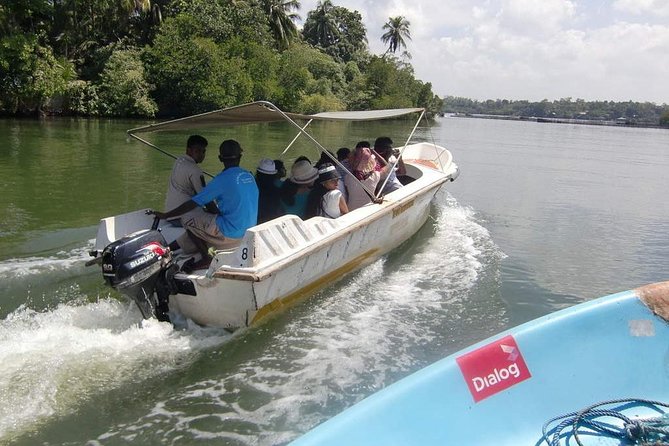 Madu River Boat Safari Balapitiya - Key points to know before you book