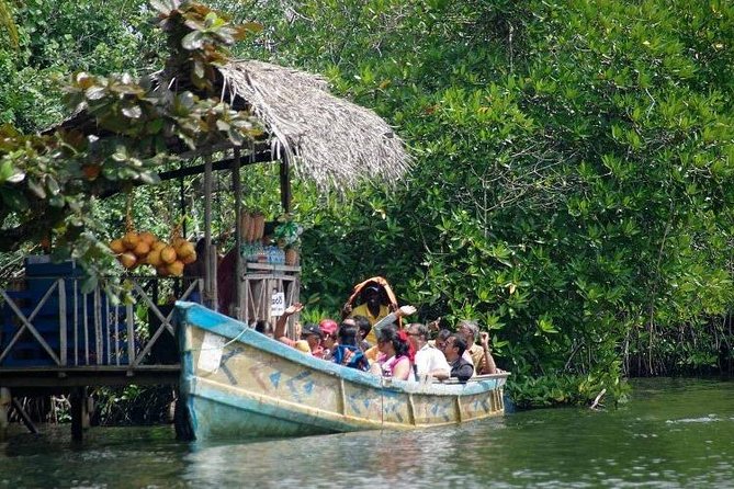 Madu River Boat Safari Balapitiya - What you may spot between the mangrove channels