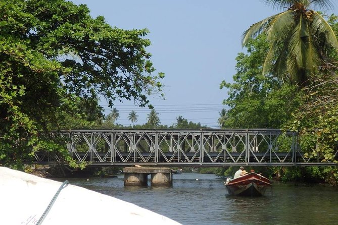Madu River Boat Safari Balapitiya - Fish foot massage: fun, unusual, and not for everyone