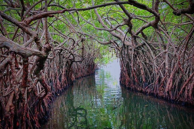 Madu River Boat Safari Balapitiya - Cinnamon Island and a taste of local work