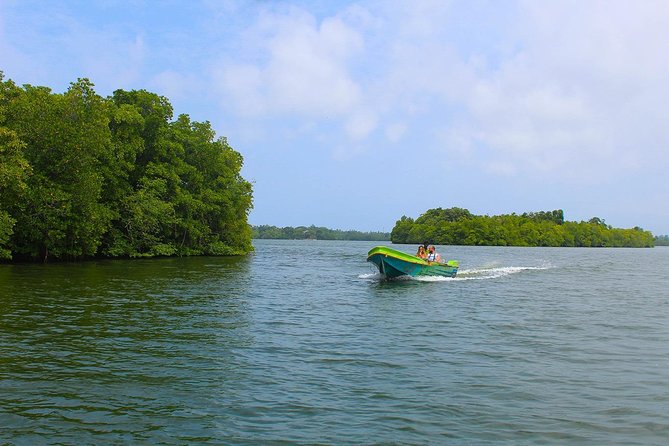 Madu River Boat Safari Balapitiya - Practical details that affect your day