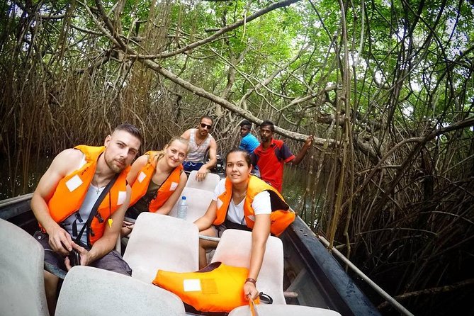 Madu River Boat Safari Balapitiya - The island temple adds a human scale