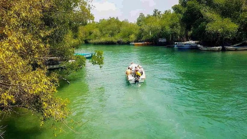 Madu River Boat Tour and Cinnamon Garden visit - Key points to know before you go