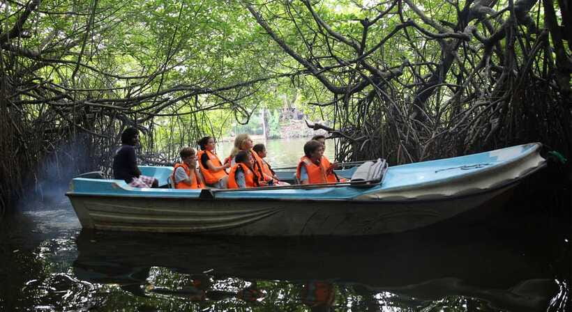 Madu River Boat Tour and Cinnamon Garden visit - Who should book the Madu River tour?