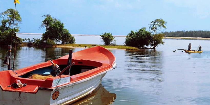 Madu River Boat Tour and Cinnamon Garden visit - The cinnamon island visit