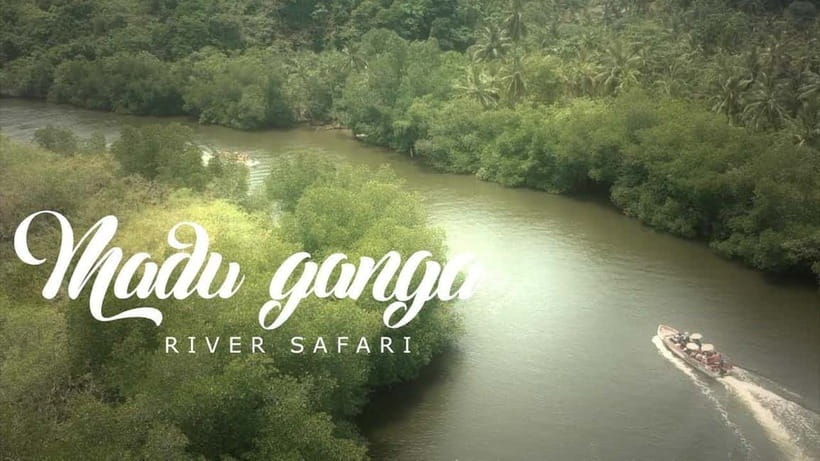 Madu River Boat Tour and Cinnamon Garden visit - Fish massage and other optional stops