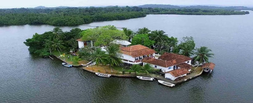 Madu River Boat Tour and Cinnamon Garden visit - What the guide adds to the experience