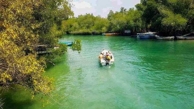 Madu River Boat Tour and Cinnamon Garden visit - Meeting point and practical planning